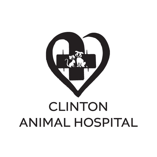 Clinton Animal Hospital