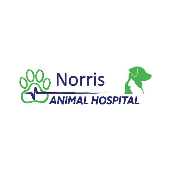 Norris Animal Hospital