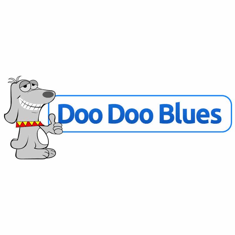 Doo Doo Blues